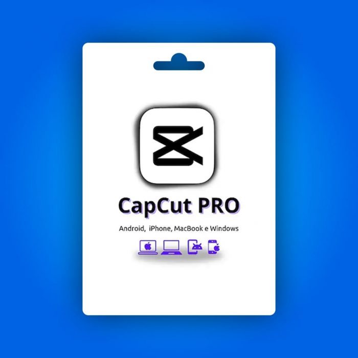 CapCut Pro 1 Yıllık Hesap