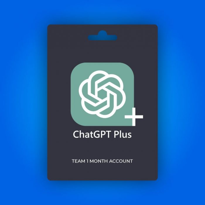 ChatGPT Team 1 Aylık Hesap