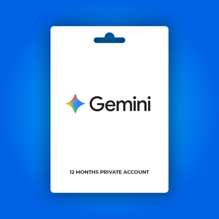 Gemini Pro 12 Aylık Hesap