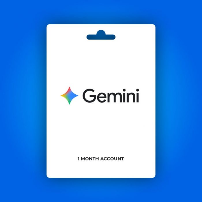 Gemini Pro 1 Aylık Hesap