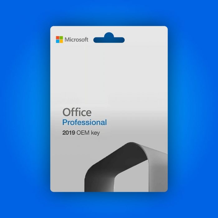 Microsoft Office 2019 Professional OEM Lisans Anahtarı