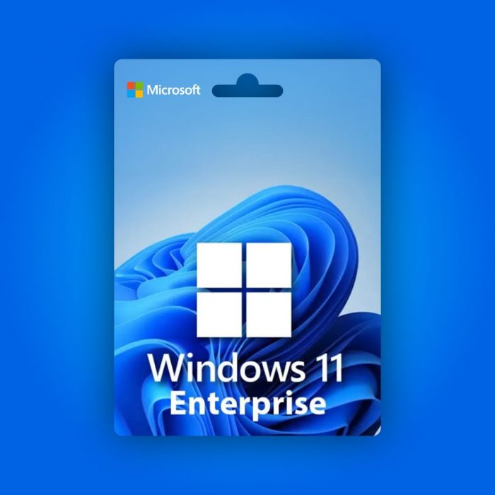 Windows 11 Enterprise Lisans Anahtarı
