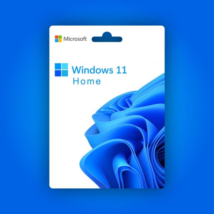 Windows 11 Home Retail Lisans Anahtarı