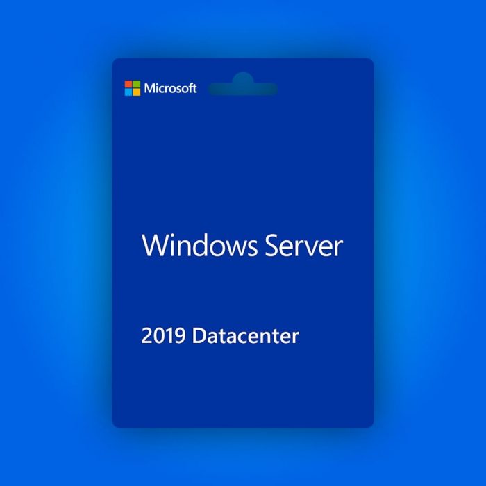 Windows Server 2019 Datacenter Lisans Anahtarı