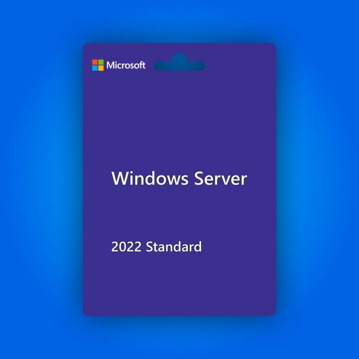Windows Server 2022 Standart Lisans Anahtarı